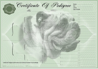 Bulldog Pedigree Certificates A4